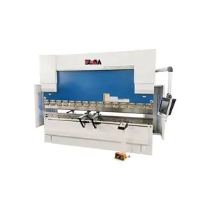 Customized professional Electro Hydraulic CNC Press Brake 80T/3200mm DA53T DA58T DA66T sheet plate bending machine