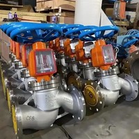 Excelente Válvula de Globo de Acero Inoxidable 316 con Disco Reforzado con Stellite