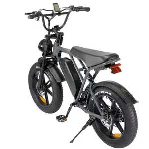 H9 프론트 랙 2024 신상품 20 "지방 Ebike 저렴한 비용 뚱뚱한 자전거 전기 접이식 지방 전기 자전거 20 인치