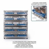 Système de cages d'élevage de cailles en batterie à 5 niveaux en acier inoxydable avec évacuation automatique des œufs et mangeoires