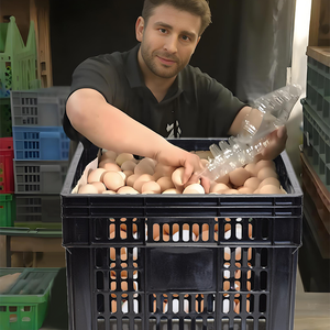 PP Plastic <strong>Egg</strong> Transport Crate Chicken Poultry Shipping Case Convenient Transport Tray Storage <strong>Box</strong> for <strong>Egg</strong> Storage - Product Image 6