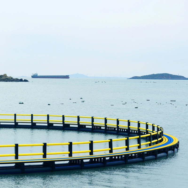 Fish Cages Aquaculture Farming Floating Aquaculture