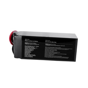 Batería de Repuesto para Dron Agrícola T-DRONES 6S 27Ah 27000mAh de Alta Densidad, Fabricante de Baterías 6S 27Ah - Product Image 4