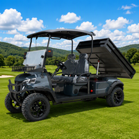 Voiturette de golf électrique LEIBIN, buggy tout-terrain, boîte de chargement, 4 roues motrices, batterie lithium 72V, 3,5-7,5KW, 2 places, freins à disque avant, 30-50Km/h, 90km, acier