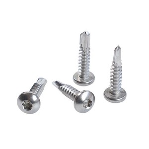Vis autoperceuses en acier inoxydable 304 316 à tête cylindrique Torx – <span class=keywords><strong>Prix</strong></span> <span class=keywords><strong>de</strong></span> gros - Product Image 4