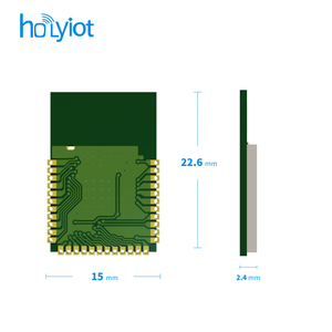 <span class=keywords><strong>Module</strong></span> émetteur-récepteur sans fil Bluetooth Holyiot NRF52810 2,4 GHz Ble5.3 avec antenne PCB - Product Image 3