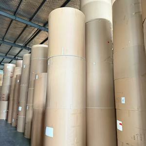 ม้วนกระดาษเคลือบ PE สำหรับวัตถุดิบกระดาษทำถ้วย - Product Image 5