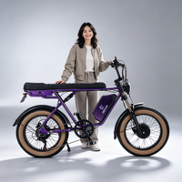 Vélo électrique de ville avec prise US/EU/AU, batterie lithium 48V, frein à disque hydraulique double sur moyeu arrière, pneu large 20 pouces, pour adulte, type VTT