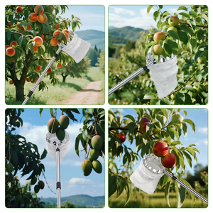Cueilleur de fruits de qualité industrielle avec tige télescopique pour la cueillette des pommes et des prunes en hauteur, ensemble d'outils de cueillette de fruits de jardin - Product Image 2