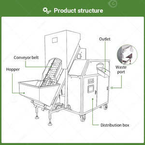 Éplucheur et coupeur de têtes d'ail et d'oignon - Product Image 3
