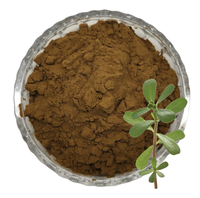 Poudre d'extrait de Bacopa Oleracea pure et naturelle, extrait de Bacopa Monniera, Bacopa