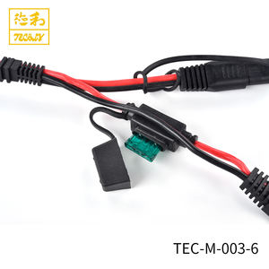 Cables de alimentación de CC eléctricos personalizados de alta calidad Conductor de cobre de bajo voltaje 14Awg Rojo Negro 30A Portafusibles Conector SAE - Product Image 6