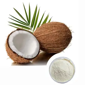 Supply Organic Coconut Milk Powder Desiccated Coconut Water Powder