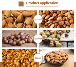 Gelgoog <span class=keywords><strong>Abricot</strong></span> Kernel Cracking Cracker Machine à éplucher les amandes/noisettes Ligne décortiqueuse - Product Image 3
