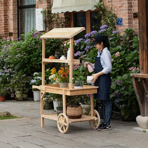 Supports de plantes en bois avec roues pour affichage décoratif Chariot en bois à 2 roues avec étagères pour plantes Chariot de présentoir en bois massif - Product Image 2