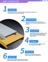 Panneaux de plafond en aluminium Dilan modernes, imperméables, ignifuges, isolants thermiques, insonorisants, anti-moisissures, anti-humidité, en forme de bande