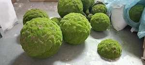 Bola de Musgo Marimo Artificial Verde para Decoración de Interiores, Planta Artificial, Topiario, Bola de Césped Artificial para Exteriores - Product Image 4
