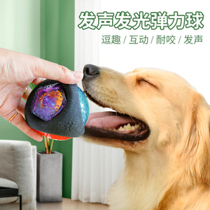 Jouet pour chien PETCIRCLE, collier pour animaux de compagnie, résistant aux morsures, émettant des sons, lumineux, balle interactive pour l'entraînement des chats - Product Image 5