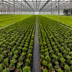 Custom-Designed Curved PC Board <b>Greenhouse</b> with Solar Power, Anti-Condensation Film & Noise Insulation for Herb Cultivation - Product Image 5