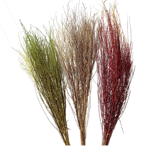 Cành Cây Liễu Tuyết Trắng Bảo Quản Cắm Hoa Nhân Tạo Cành Cây Liễu - Product Image 1