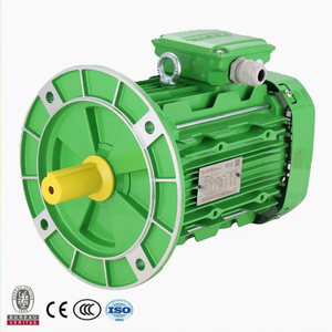 Y2 1hp/cv 0.75kw 2800rpm 50/60hz कास्ट आयरन इलेक्ट्रिक मोटर 10kw रेटेड पावर थ्री-फेज 3000 आरपीएम रेटेड स्पीड - Product Image 3