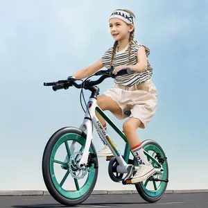 2024新款铝制平衡自行车儿童定制平衡Bke儿童10岁越野车