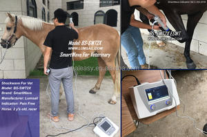 Mesin <span class=keywords><strong>shock</strong></span>, ESWT <span class=keywords><strong>Equine</strong></span>, mesin Shockwave 1 hz-22 HZ, mesin Shockwave untuk klinik Vet - Product Image 6