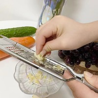 Professionele Roestvrijstalen Citroenkaas Fruit Groente Rasp Snijmachine Snijder Met Handvat Klein Formaat Hot Sale Tool