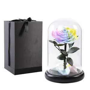 2023 Christmas Day Gifts Preserved Flowers Forever Rose Eternal Flowers and Plants Preserved Roses in Glass Bell for Home Decora