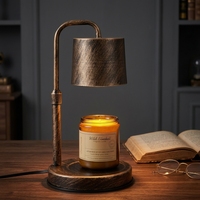 Lampe chauffe-cire électrique en gros avec minuterie, brûleur d'arômes à changement de lumière 35W, verre à intensité variable, vente en gros