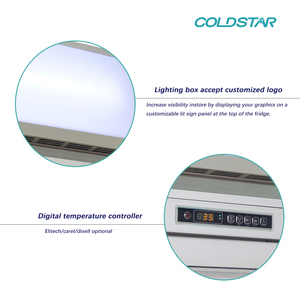 <span class=keywords><strong>Vertical</strong></span> Affichage Vitrine <span class=keywords><strong>Congélateur</strong></span> pour Glace et Produits Surgelés - Product Image 4