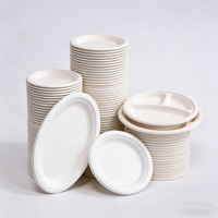 Assiettes jetables en bagasse végétale de qualité commerciale, biodégradables, empilables, pour la restauration et les événements