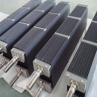 Ánodo de Titanio Recubierto de Rutenio e Iridio TA1 TA2 Gr1 Gr2, Electrodo de Ti para Tratamiento de Agua, Electrólisis, Industria Cloro-Alcalina