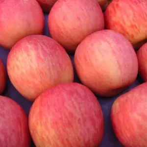 Fruits frais chinois, 20 pièces, bonne qualité, nouvelle collection Fuji pomme, vente en gros