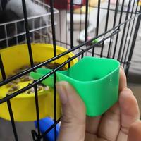 Nouvel ensemble de cuillères à nourriture pour oiseaux durables, écologiques et réutilisables, cuillères en plastique pour petits oiseaux, perroquets, usage quotidien