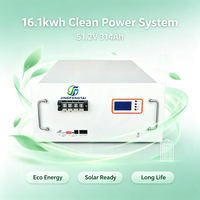 Batterie LiFePO4 en rack 51,2 V 314 Ah 16,1 kWh avec BMS LCD CAN RS485, plus de 6000 cycles pour système solaire UPS pour système de batterie lithium 50 kWh