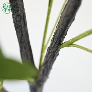 Grand <span class=keywords><strong>Olivier</strong></span> Artificiel Réaliste de 180 cm, Plante <span class=keywords><strong>D</strong></span>écorative <span class=keywords><strong>d</strong></span>'Intérieur en Pot, Sans Entretien, Idéal pour le Design <span class=keywords><strong>d</strong></span>'Intérieur des Centres Commerciaux et Bureaux - Product Image 4