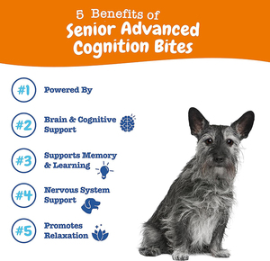 Complément alimentaire biologique pour animaux de compagnie de qualité supérieure, riche en protéines, sous forme de friandises molles pour chiens et chats, avec oméga 3 DHA, favorise la santé cérébrale - Product Image 3