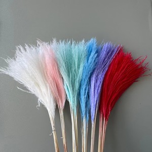 Arreglo Floral Natural, Pluma de Pampa Suave, Planta de Pampa con Excelente <span class=keywords><strong>Precio</strong></span>, Arreglo de Hierba de Pampa Seca para Arco de Boda - Product Image 4