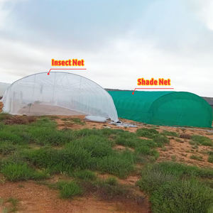 Serre tunnel à simple portée, grande taille, en acier galvanisé à chaud, avec film plastique de protection contre les insectes, pour l'ombrage des légumes - Product Image 3