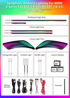 Kit d'éclairage LED intérieur pour BMW Série 2 M2 F87/F22/F23 2014-2020, éclairage d'ambiance Symphony, garniture colorée, mise à niveau de l'éclairage intérieur