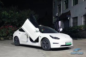 Kit Speciale per Porte Verticali Stile Lambo per Tesla Model 3 - Product Image 4