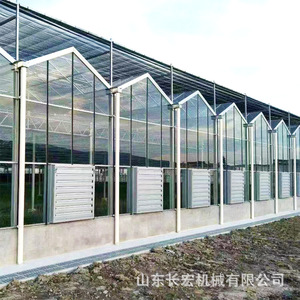 Serre en verre intelligent avec cadre en aluminium et verre trempé pour usage agricole et de jardinage - Product Image 2