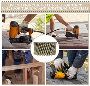 Clous de <span class=keywords><strong>toiture</strong></span> en acier galvanisé à l'électrolyse, tige lisse, <span class=keywords><strong>prix</strong></span> d'usine - Product Image 6