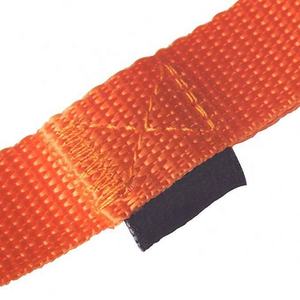 Cane Al Guinzaglio 3/4 "Wide Cotone Web 10 M di Lunghezza per la Formazione Con Girevole di Chiusura A Scatto - Product Image 5