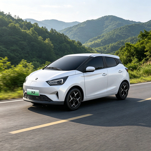 2026 Vehículos Nuevos Directos de Fábrica Dongfeng Forthing X2 Coches Eléctricos EV Automóviles Nuevos Forthing Mini SUV Eléctrico - Product Image 1