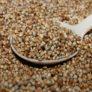 Millet perlé indien traditionnel - Product Image 1