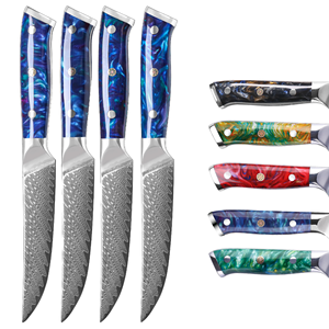 Couteau à steak en acier au carbone Damas VG10 de 5 pouces, 67 couches, design oriental traditionnel, manche en résine noire, écologique, pour trancher - Product Image 2