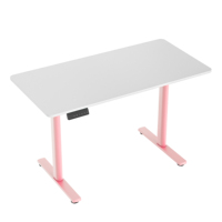 Mobilier de bureau moderne de luxe Bureau debout électrique à double moteur réglable en hauteur Bureau assis-debout en métal de haute qualité