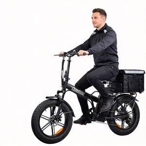 Chamrider DTS425 Vélo Électrique <span class=keywords><strong>Pliant</strong></span> Portable à Pneus Larges avec Double Batterie, Stock UE, pour Livraison Familiale et Transport de Marchandises - Product Image 1